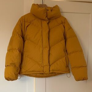 Wilfred Free - the cloud puff